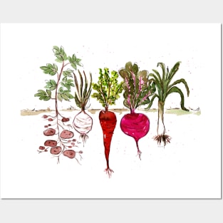 Vegetables Tubers in the garden Posters and Art